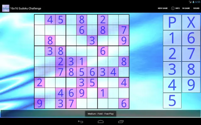 16x16 Sudoku Challenge android App screenshot 1