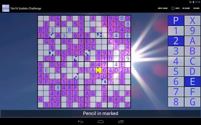 16x16 Sudoku Challenge android App screenshot 4